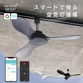 【発売記念10%OFF】エジソンスマート ダクトレールファン シーリングファン 天井 サーキュレーター 扇風機 DCモーター 静音 リモコン付き 後付け 角度調節 Wi-Fi アプリ操作 音声操作 遠隔操作 自動化 風量調節 強力 正回転 逆回転 シンプル おしゃれ モダン 節電 省エネ
