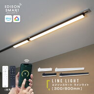 エジソンスマート ラインライト 300mm 800mm スマート照明 LED ライン照明 ダクトレール照明 天井用 壁面…