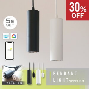 �y�ʏ�40,150�~��30%OFF�z�y5�Z�b�g�z�G�W�\���X�}�[�g �y���_���g���C�g �_�N�g���[���p �X�}�[�g�Ɩ� LED���� Wi-Fi �A�v�� �X�}�z �������� amazon alexa�Ή� Google Home�Ή� Siri�Ή� IoT ���u���� 