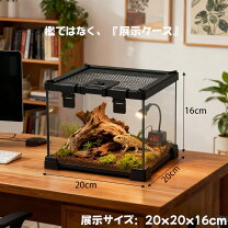 楽天市場】ハムスター 爬虫類ケージの通販