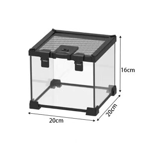 DMBА঒ގ  P[W KXP[W (W20xD20xH16cm) ঒ 