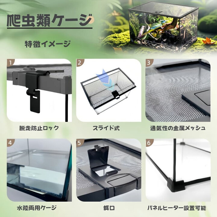 楽天市場】DMB自社製爬虫類飼育 両生類 飼育ケージ ガラスケージ 