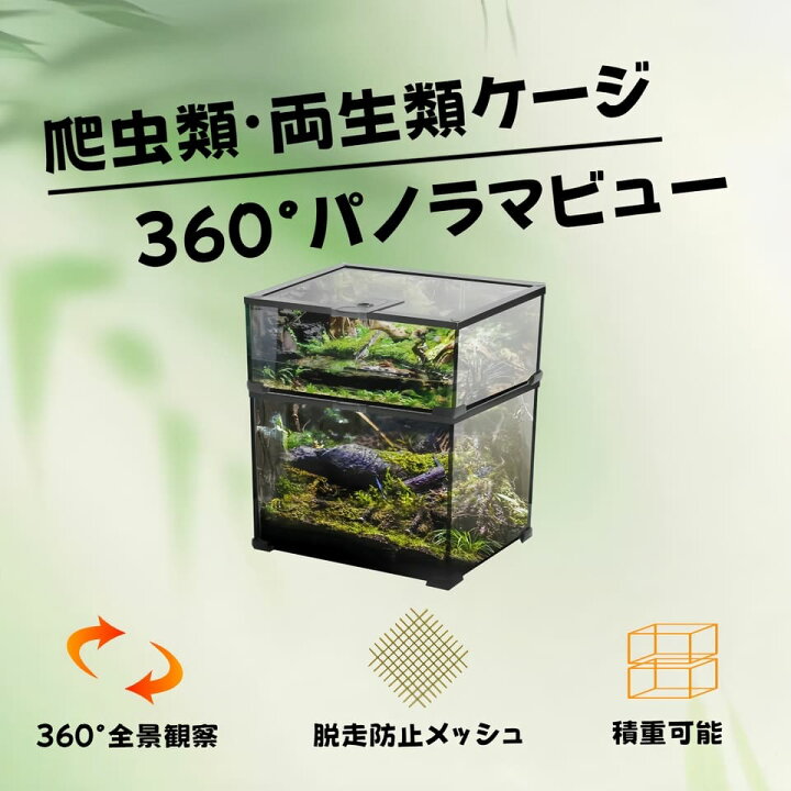 楽天市場】DMB自社製爬虫類飼育 両生類 飼育ケージ ガラスケージ 