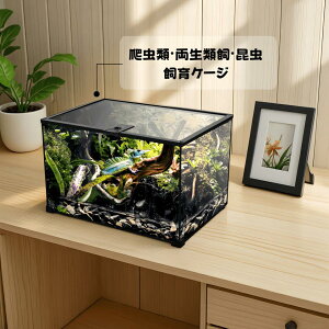 DMB���А�঒��ގ��� ������ ����P�[�W �K���X�P�[�W (W20xD20xH16cm) ঒��� ����K���X঒��ރP�[�W ���N�K���@�������g�J�Q�@���I�p�[�h�@�w�r�@���X�@�����ށ@���h�J���@�ƒ뎔��g�J�Q�@