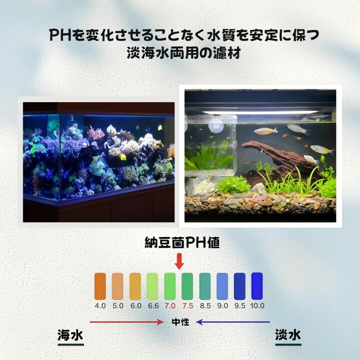 楽天市場】納豆菌パワーボールろ材 ろ過材 水槽用 観賞魚 濾過材料 