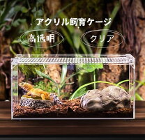 楽天市場 ヤモリ ケージの通販