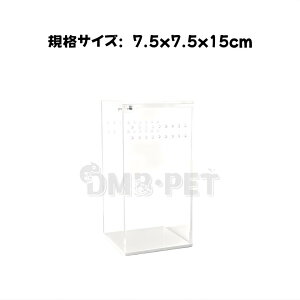 ঒ ANP[Wi7.5x7.5x15cmj@P[X@ށ@P[X@N JugV@NK^@@wr@J@@e