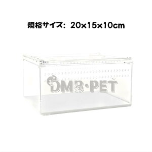 ঒ ANP[Wi20x15x10cmj@P[X@ށ@P[X@N JugV@NK^@@wr@J@@e