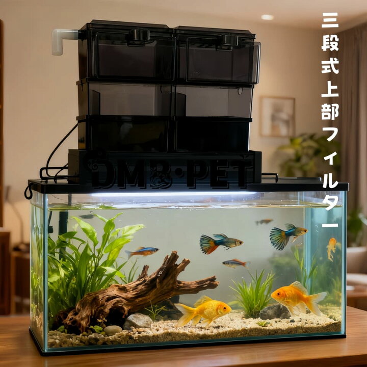 楽天市場】DMB無敵の三段式上部フィルタードライ＆ウェット濾過槽 金魚 
