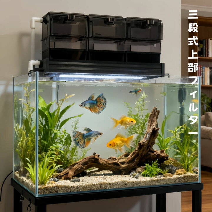 楽天市場】DMB無敵の三段式上部フィルタードライ＆ウェット濾過槽HE60 