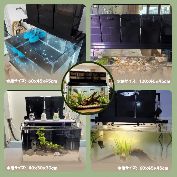 楽天市場】DMB無敵の三段式上部フィルタードライ＆ウェット濾過槽 金魚 