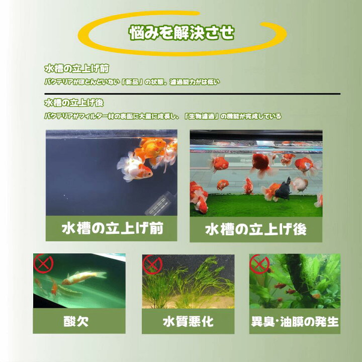 楽天市場】DMB無敵の三段式上部フィルタードライ＆ウェット濾過槽 金魚 