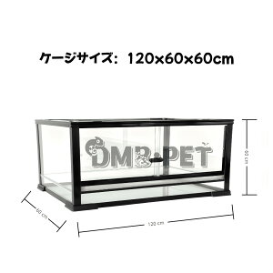 DMBА঒ޗގP[W@gݗĎ@KXP[W@NK@gJQ@Ip[h@wr@X@ށ@hJ@ƒ뎔gJQ@J@JG@nX^[@