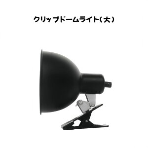 ঒  Nbvh[Cgij NK gJQ Ip[h hJgJQ J JG nX^[ wr