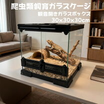 楽天市場】キューブボックス 30cm（爬虫類・両生類｜ペット・ペット 