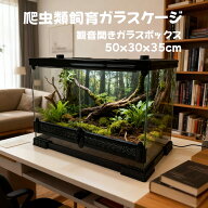 爬虫類ケージ ガラス飼育ケージW50D30H35cm　5030観音開きガラスボックス 組み立て不要 爬虫類 両生類ガ…