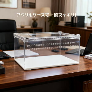 ঒ ANP[Wi20x15x10cmj@P[X@ށ@P[X@N JugV@NK^@@wr@J@@e