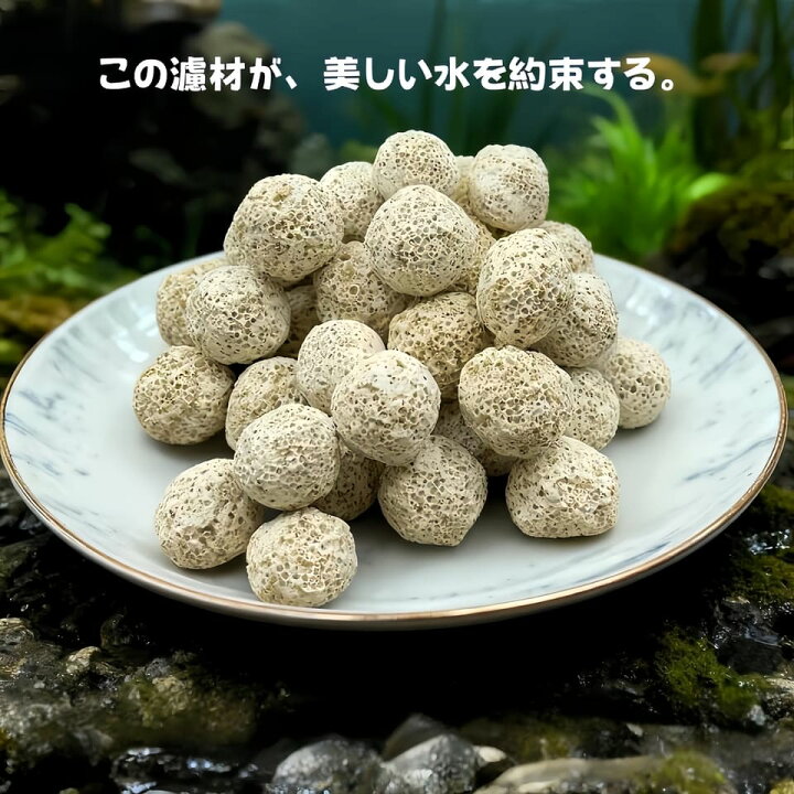 楽天市場】納豆菌パワーボールろ材 ろ過材 水槽用 観賞魚 濾過材料 