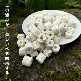 セラミックリングろ材 ろ過材 水槽用 観賞魚 濾過材料 水族館フィルター用 アクアリウム ろ材 淡水と海水に適用 消臭ろ材入れネット無料付き ろ材 高品質 アンモニア対策 水質浄化抜群水槽 メダカ 金魚 熱帯魚 アロワナ ダトニオ ミネラル エビ ディスカス即時発送