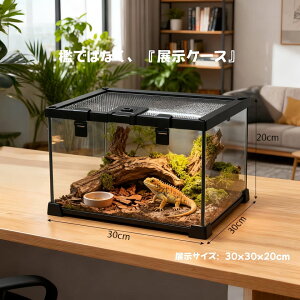 DMB���А�঒��ގ��� ������ ����P�[�W �K���X�P�[�W (W30xD30xH20cm) ঒��� ����K���X঒��ރP�[�W ���N�K���@�������g�J�Q�@���I�p�[�h�@�w�r�@���X�@�����ށ@���h�J���@�ƒ뎔��g�J�Q�@