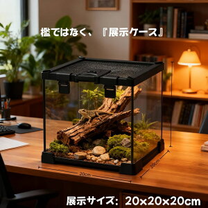 DMBА঒ގ  P[W KXP[W (W20xD20xH20cm) ঒ KX঒ރP[W NK@gJQ@Ip[h@wr@X@ށ@hJ@ƒ뎔gJQ@