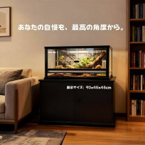 楽天市場】リクガメ ケージ 90 45の通販