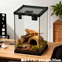 爬虫類ケージ ヤモリ飼育ケース 両生類用飼育ケース ヤモリ の人気商品一覧 安い商品を通販サイトから探す - 価格 com