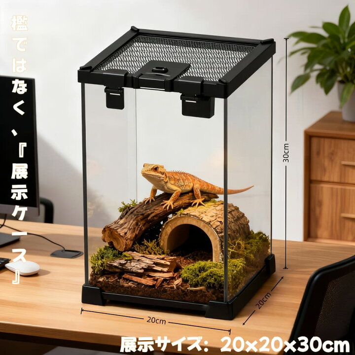 楽天市場】DMB自社製爬虫類飼育 両生類 飼育ケージ ガラスケージ 