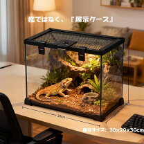 楽天市場】爬虫類 ケージ 9030の通販