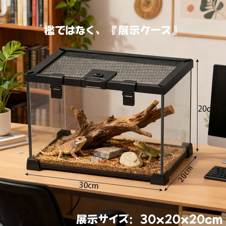 楽天市場】DMB自社製爬虫類飼育 両生類 飼育ケージ ガラスケージ 