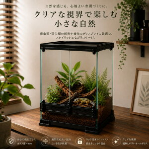 グラステラリウム 3045」の人気商品一覧・価格比較 - 価格.com