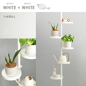 突っ張り棒&パーツ 6点セット(丸型) オシャレなディスプレイや小物収納に 2色展開 幅43cm KTR-3116 萩原