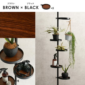 ˂_p[c 6_Zbgiی^j IVȃfBXvC⏬[ 2FWJ 43cm KTR-3116 