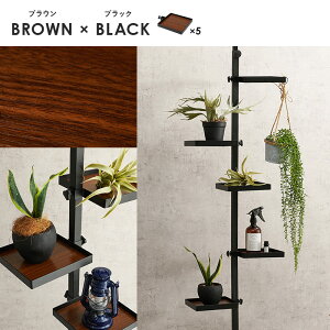 ˂_p[c 6_Zbgip^j IVȃfBXvC⏬[ 2FWJ 43cm KTR-3117 