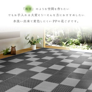 {6 PP~ Ԃ OK uqv O[  81947860