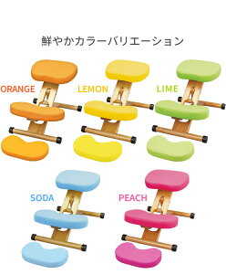 zIȎpۂNbVtv|[V`FALbY CH-889CK {쏊