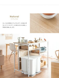 Lb`JE^[e[uwSalusiT[Xjx 120×s60×100cm KNT-1260 {쏊