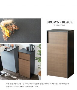 S~ɌȂX^CbVfUCłɗnރLX^[tؐ_Xg{bNX e45L 45×s29.5×90cm wIX DB-F1100 {쏊