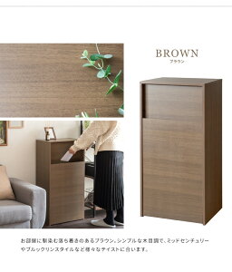 S~ɌȂX^CbVfUCłɗnރLX^[tؐ_Xg{bNX e45L 45×s29.5×90cm wIX DB-F1100 {쏊