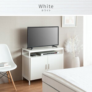 _CjOXy[XQɂ傤Ǘǂ nC^CṽLrlbgter@AltioiAeBIj TV-801 {쏊