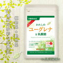 【送料無料】わたしのユーグレナ＆乳酸菌 DMJえがお生活 31日分 日本製 | ユーグレナ サプリメント スピルリナ 乳酸菌…