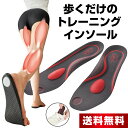 楽歩人 ラフットソール PRO 1足 インソール 中敷き 姿勢改善 ダイエット 疲れない 姿勢 矯正 中敷 ソール 履くだけ 筋…