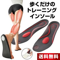 楽歩人 ラフットソール PRO 1足 インソール 中敷き 姿勢改善 ダイエット 疲れない 姿勢 矯正 中敷 ソール…
