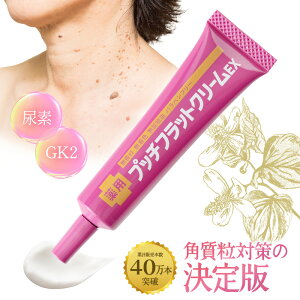 pvb`tbgN[EX 15g 򕔊Oi | { p  |c|c NCj Af   ڌ   C  s[O ͂Ƃނ XN zzoIC  F