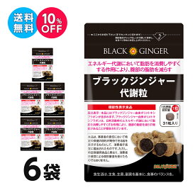 【6袋集中ケアセット 10％OFF 送料無料 機能性表示食品】ブラックジンジャー 代謝粒 DMJえがお生活 31日分 日本製