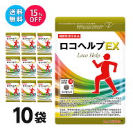 ロコヘルプEX DMJえがお生活 31日分 10袋集中ケアセット 15％OFF 機能性表示食品 日本製 ブラックジンジ…
