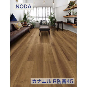 m_ 11.5mm JiG Rh45 R45S1 @lliEЁEX܁jEll͐Z^A@