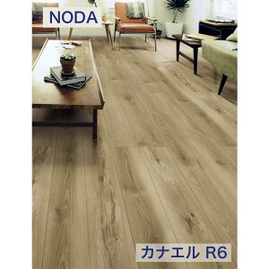 m_ 6mm JiG RfUC R6 R6S1 @lliEЁEX܁jEll͐Z^A@