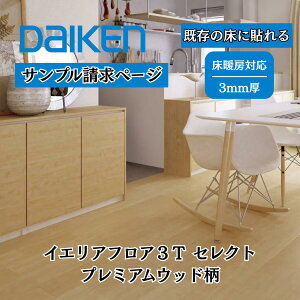 Tv  tH[tA 匚 DAIKENN CGAtA3T ZNg v~AEbh tA tH[