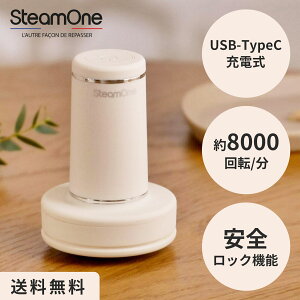 SteamOne Anti-lint shaver IVORY ыʎ RP10IV A`gVF[o[ USB[ddыʎ XeX3n ő8000] ꒅɂg GSm~bNXfUC SbN@\ AC{